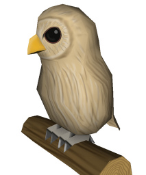 input image