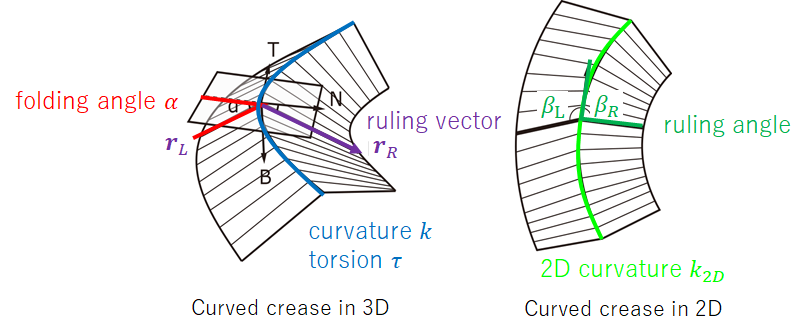 geometry of curved crease
