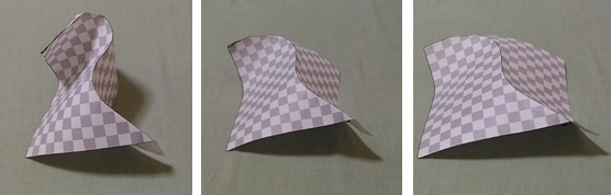 single_crease_A_photo
