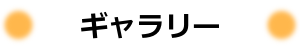 連絡先